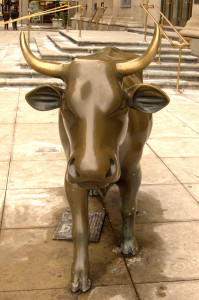 The bull, about to enter the china shop.